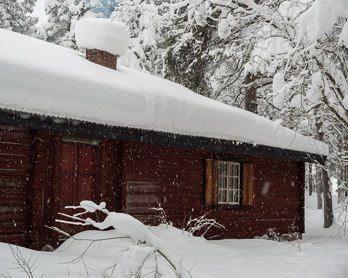 Settlers Museum - Ice Raven - Sub Zero Adventure - Copyright Gary Waidson, All rights reserved.