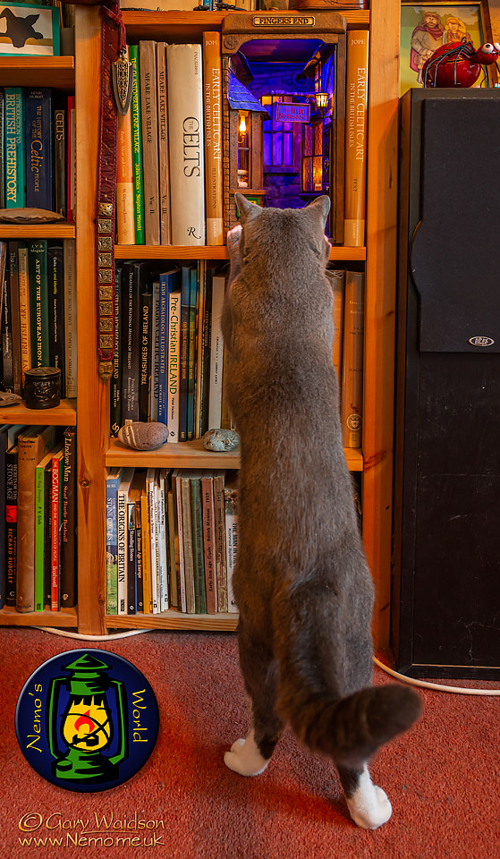 Thumper taking a look at "Fingers End"  - The Steam Tent Co-operative. © Gary Waidson - www.Steamtent.uk 