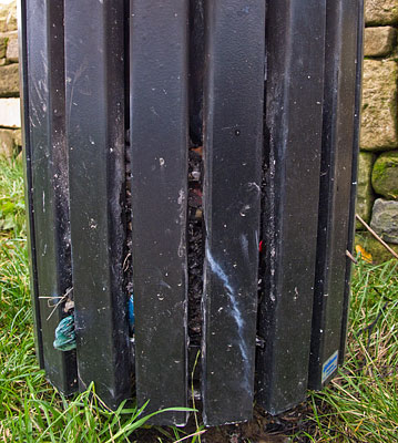 The bottom of the bin, not emptied for over six months.