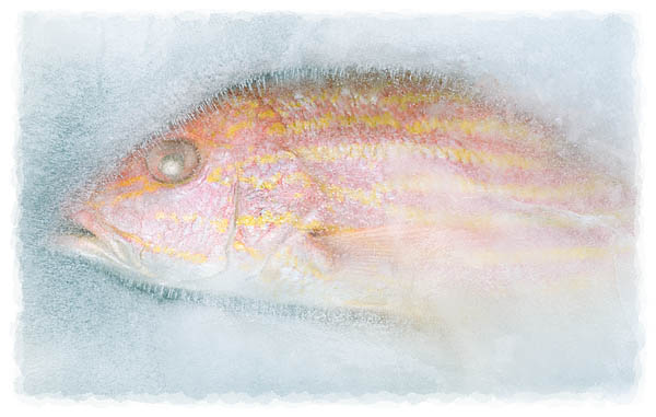 This is by the way not a Red Herring but it is a distraction from the main issue just like the one you have just read.