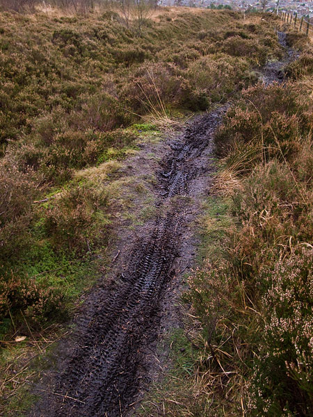 A normally firm path torn up by tyre tracks