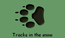 Tracks in the snow