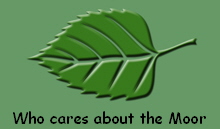 Who cares about the Moor