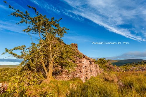 Action-Test---Abandoned-Cottage-Ireland---Autumn-Colours-70