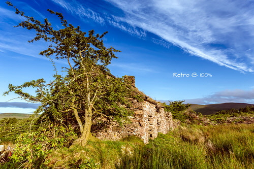 Action-Test---Abandoned-Cottage-Ireland---Retro-100
