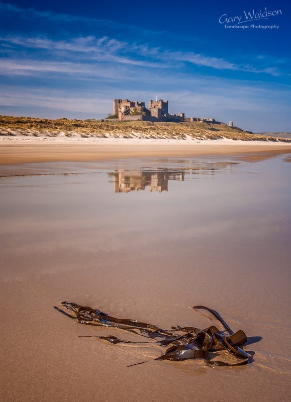 Bamburgh Kelp. Fine Art Landscape Photography by Gary Waidson
