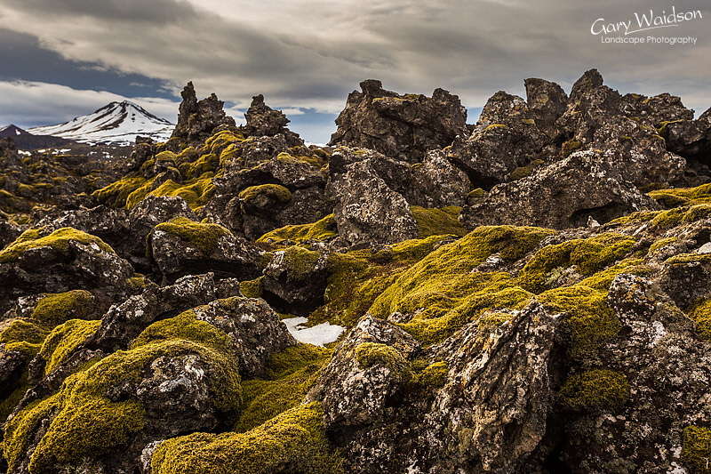 Berserkjahraun, Iceland - Photo Expeditions - � Gary Waidson - All Rights Reserved