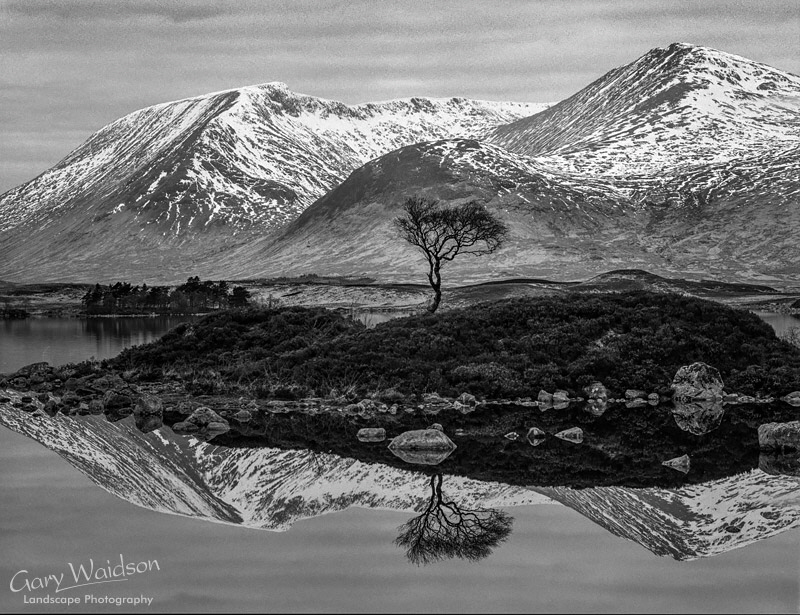 Black Mount - Waylandscape. Fine Art Landscape Photography by Gary Waidson