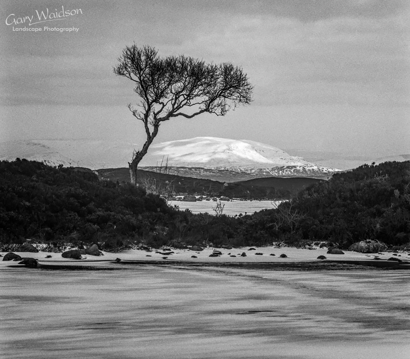 Black Mount - Waylandscape. Fine Art Landscape Photography by Gary Waidson