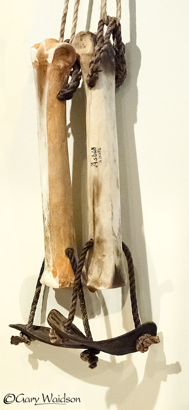 Bone Ice Skates, Iceland - Photo Expeditions - � Gary Waidson - All Rights Reserved