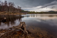 Glen Affric