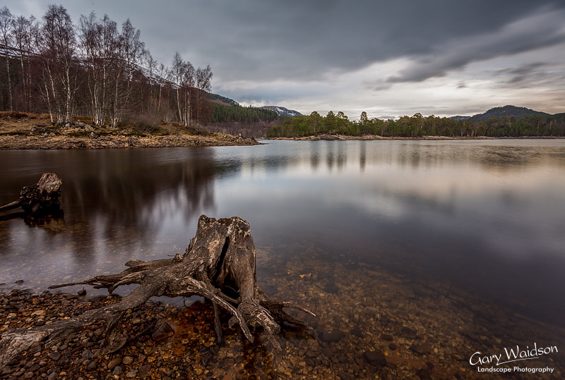 Caledonian Ghosts - Waylandscape. Fine Art Landscape Photography by Gary Waidson
