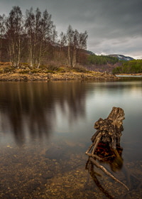 Glen Affric