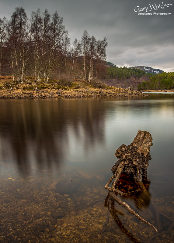 Caledonian Ghosts - Waylandscape. Fine Art Landscape Photography by Gary Waidson
