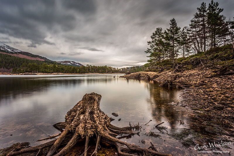 Caledonian Ghosts - Waylandscape. Fine Art Landscape Photography by Gary Waidson