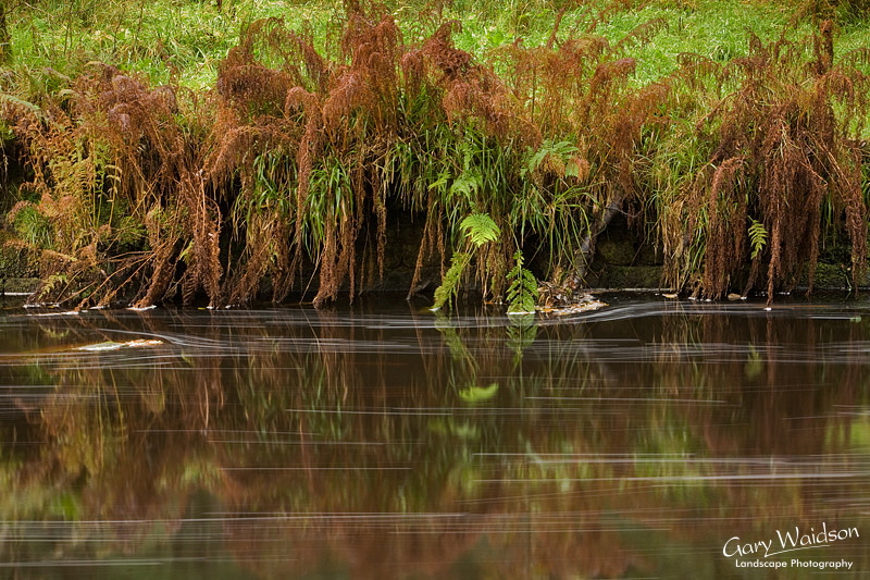 Hebden Water, Yorkshire. Landscape photography by Gary Waidson.