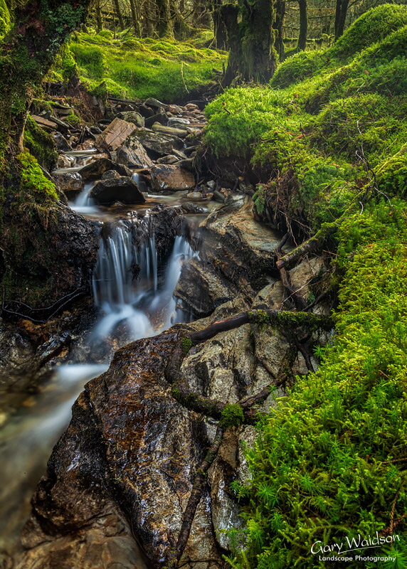 Glen Orchy - © Waylandscape. Fine Art Landscape Photography by Gary Waidson Glen Orchy - © Waylandscape. Fine Art Landscape Photography by Gary Waidson
