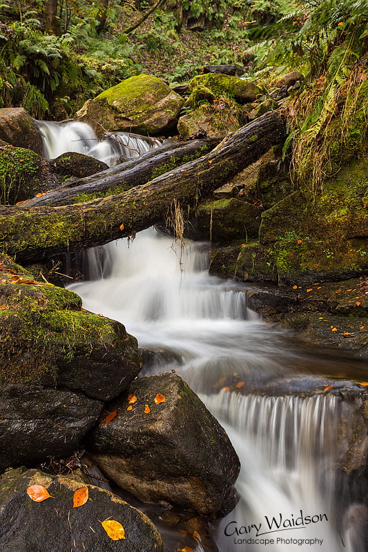 Hardcastle-Tributary