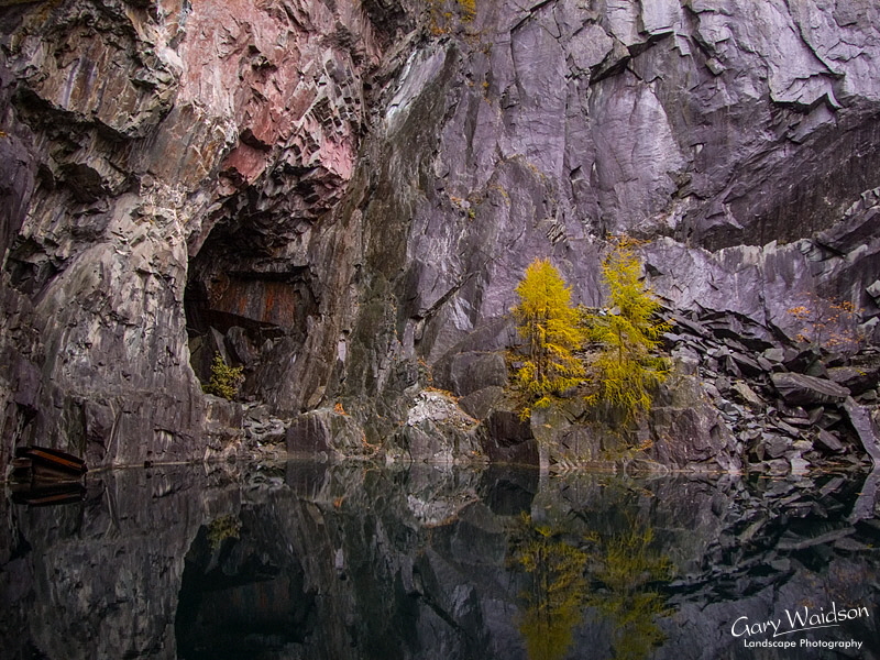 Hodge Close with trees. Fine Art Landscape Photography by Gary Waidson