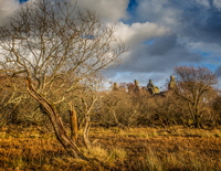 Kilchurn Castle