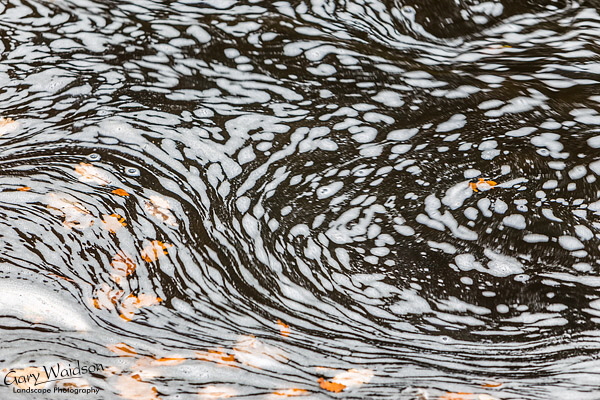 River-Doe-Swirl
