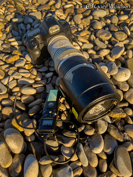 The Sad Demise of an old and trusted friend - Fine Art Landscape Photography by Gary Waidson