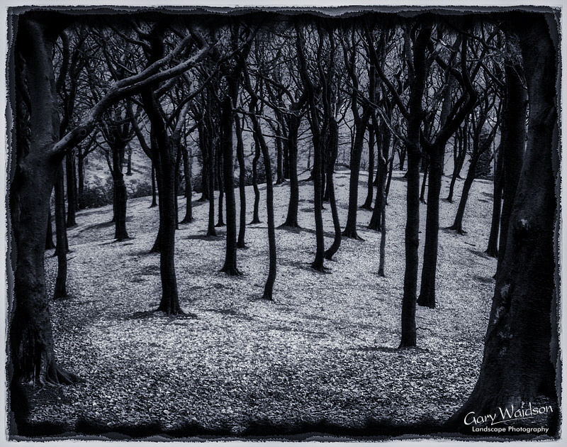 Tandlewood, Lancashire. Landscape photography by Gary Waidson.