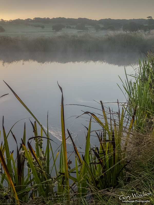 The Web and the Mere - Fine Art Landscape Photography by Gary Waidson