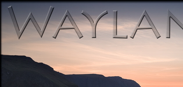 Wild Camping at St. Abbs -Take a View 2009 Landscape Photographer of the Year, Highly Commended