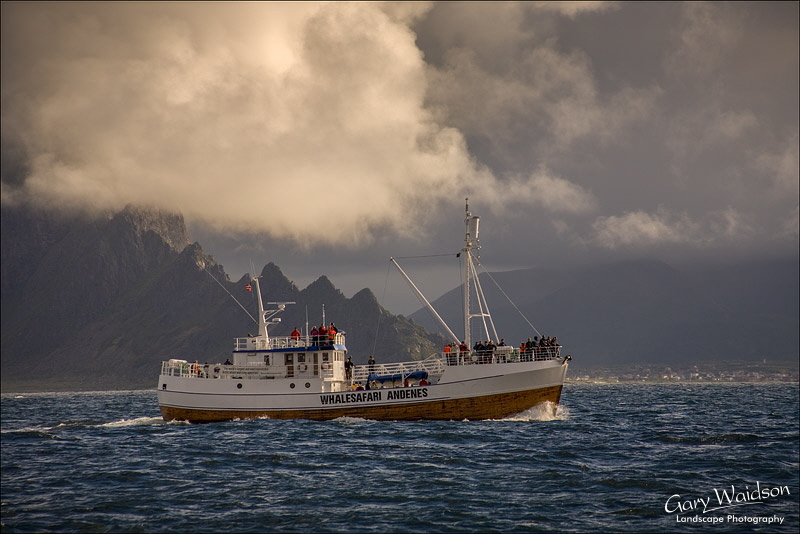 Whalesafari Andenes. Fine Art Landscape Photography by Gary Waidson