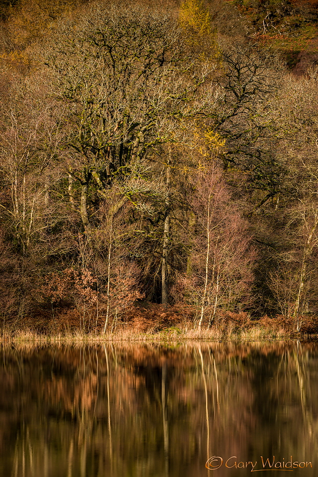 Yew Tree Tarn - Fine Art Landscape Photography by Gary Waidson