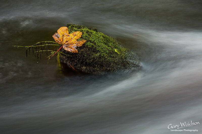 Hebden Water, Yorkshire. Landscape photography by Gary Waidson.