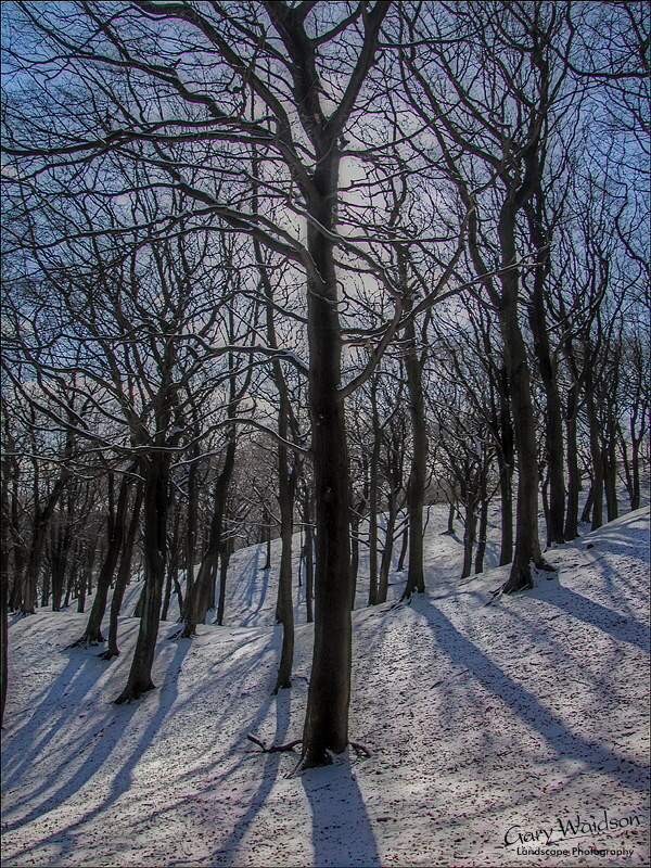 Tandlewood in snow, Lancashire. Landscape photography by Gary Waidson.